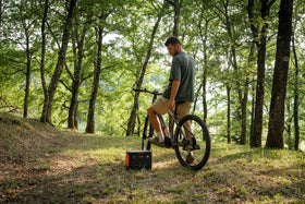 Kürbisfeste in Deutschland