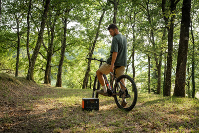 Kürbisfeste in Deutschland