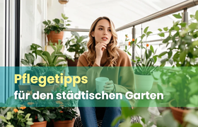Balkongarten Pflege Tipps