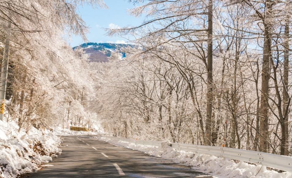 Nehmen Sie eine tragbare Powerstation mit auf Ihre Winterspaziergänge