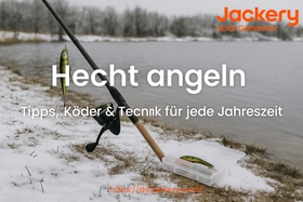 Angeln auf Hecht – Tipps, Techniken & Ausrüstung für erfolgreiche Raubfischangelei!
