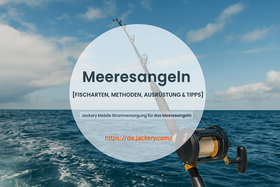 meeresangeln