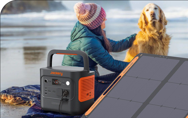 Winterurlaub mit Hund