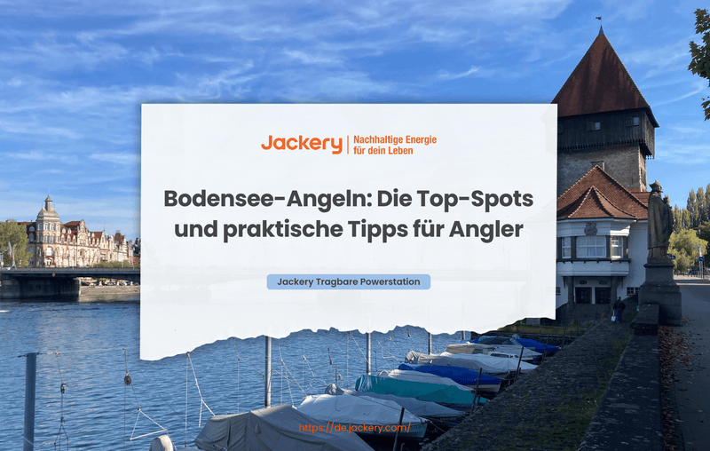 am bodensee angeln
