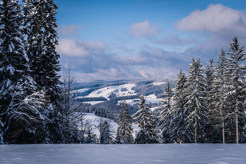 Wintercamping in Deutschland