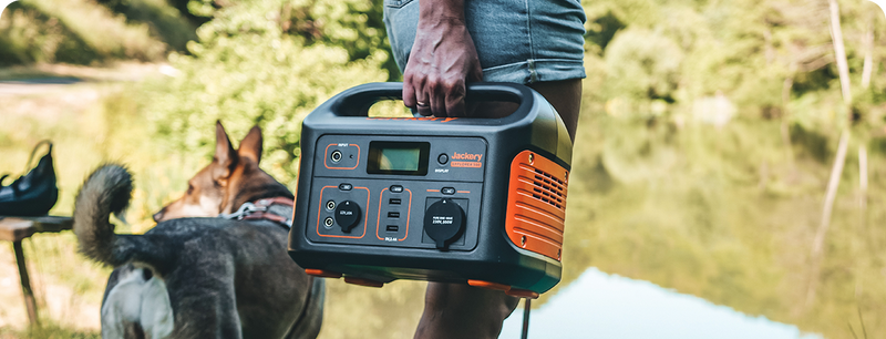 Leitfaden für die Jagdhundeausbildung