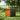 Jackery Faltbarer Trolley