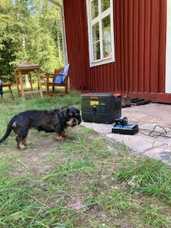 Wie Energie eine Waldhütte belebte